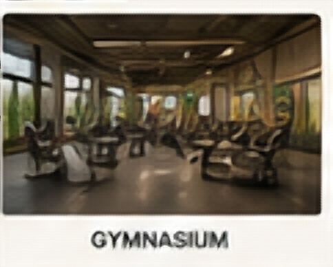 Residential gymnasium amenity concept